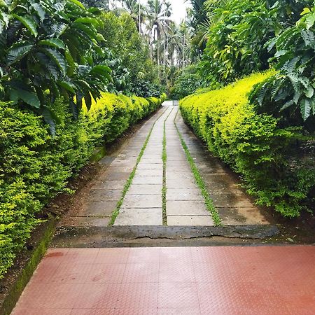 Wayanad Green Park Resort Ambalavayal Rom bilde