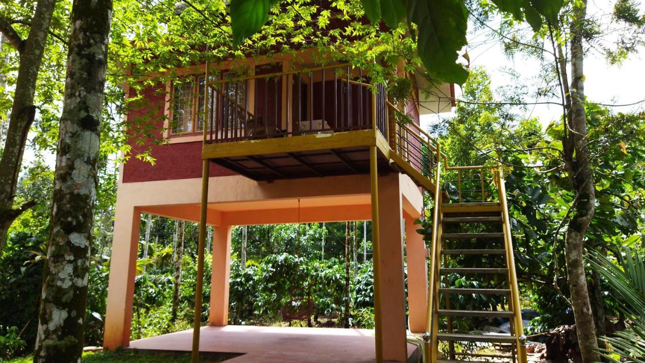 Wayanad Green Park Resort Ambalavayal Eksteriør bilde