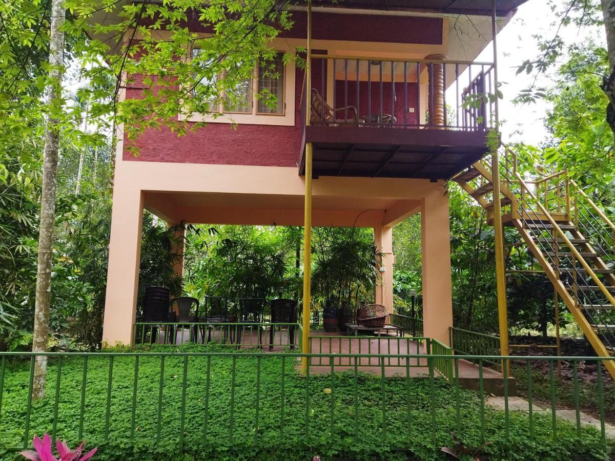 Wayanad Green Park Resort Ambalavayal Eksteriør bilde