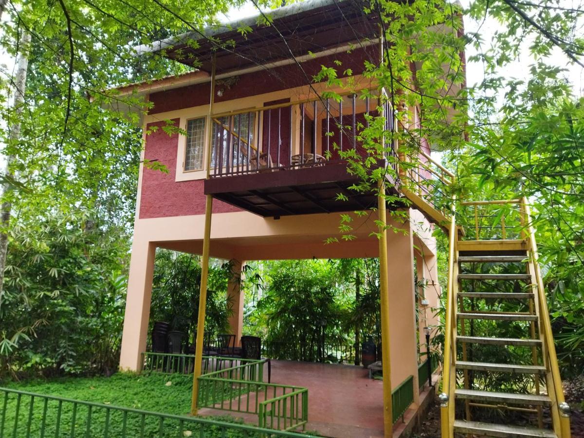 Wayanad Green Park Resort Ambalavayal Eksteriør bilde
