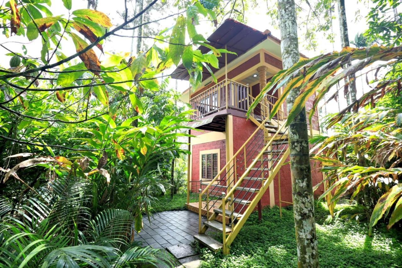 Wayanad Green Park Resort Ambalavayal Eksteriør bilde