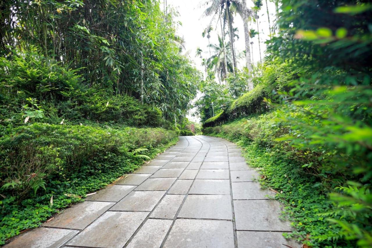 Wayanad Green Park Resort Ambalavayal Eksteriør bilde