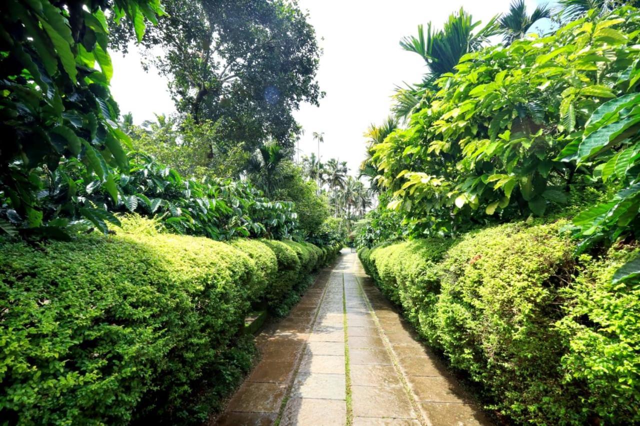 Wayanad Green Park Resort Ambalavayal Eksteriør bilde