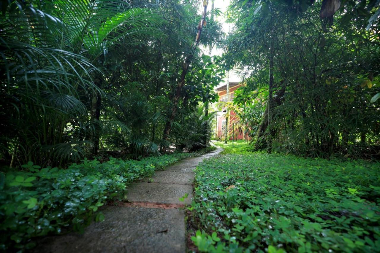 Wayanad Green Park Resort Ambalavayal Eksteriør bilde