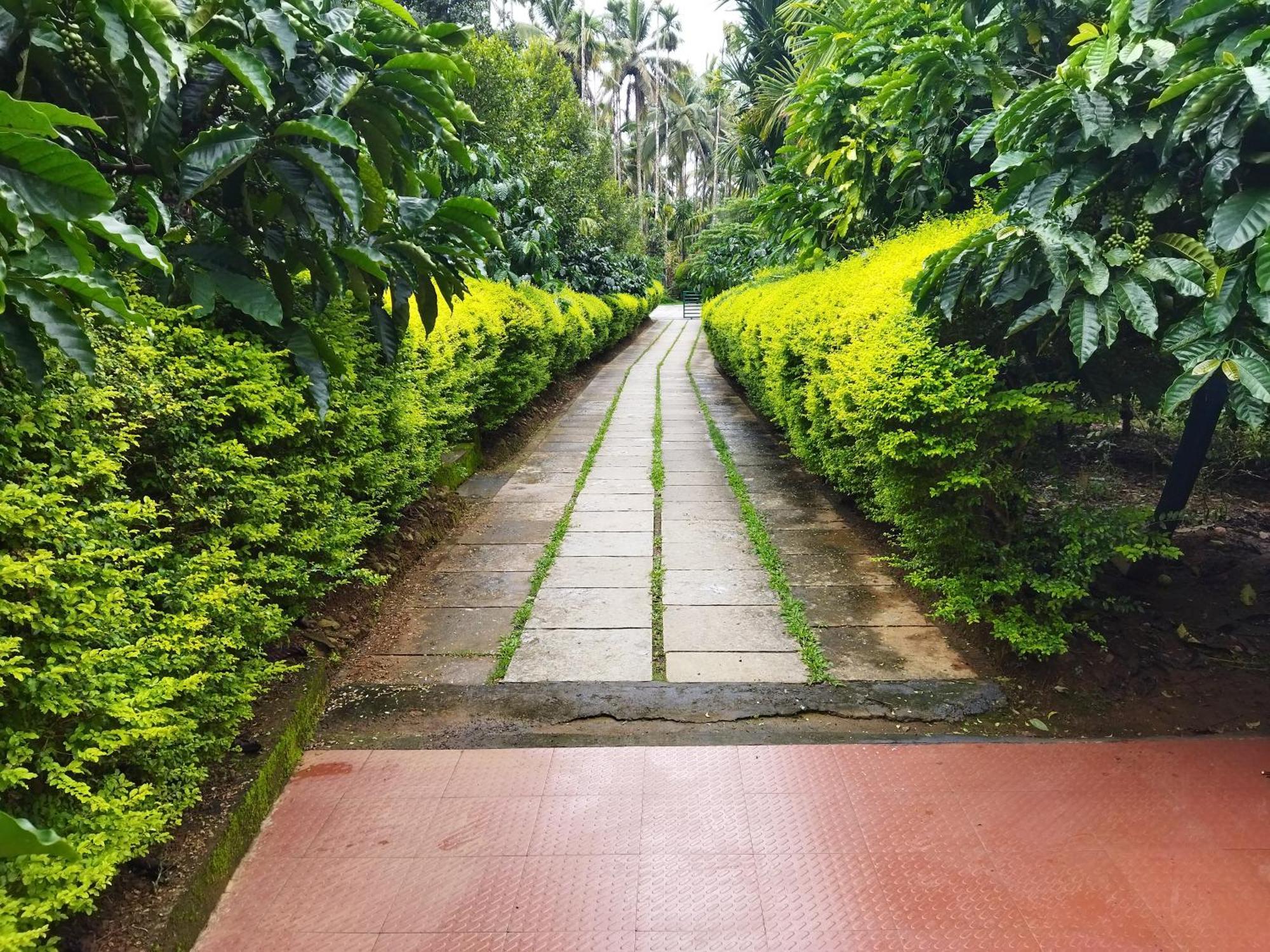 Wayanad Green Park Resort Ambalavayal Rom bilde