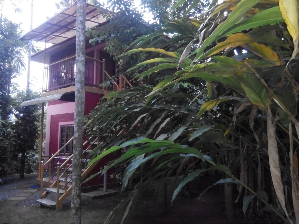 Wayanad Green Park Resort Ambalavayal Eksteriør bilde