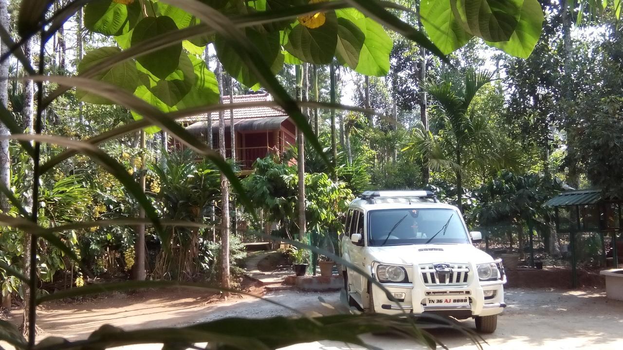 Wayanad Green Park Resort Ambalavayal Eksteriør bilde