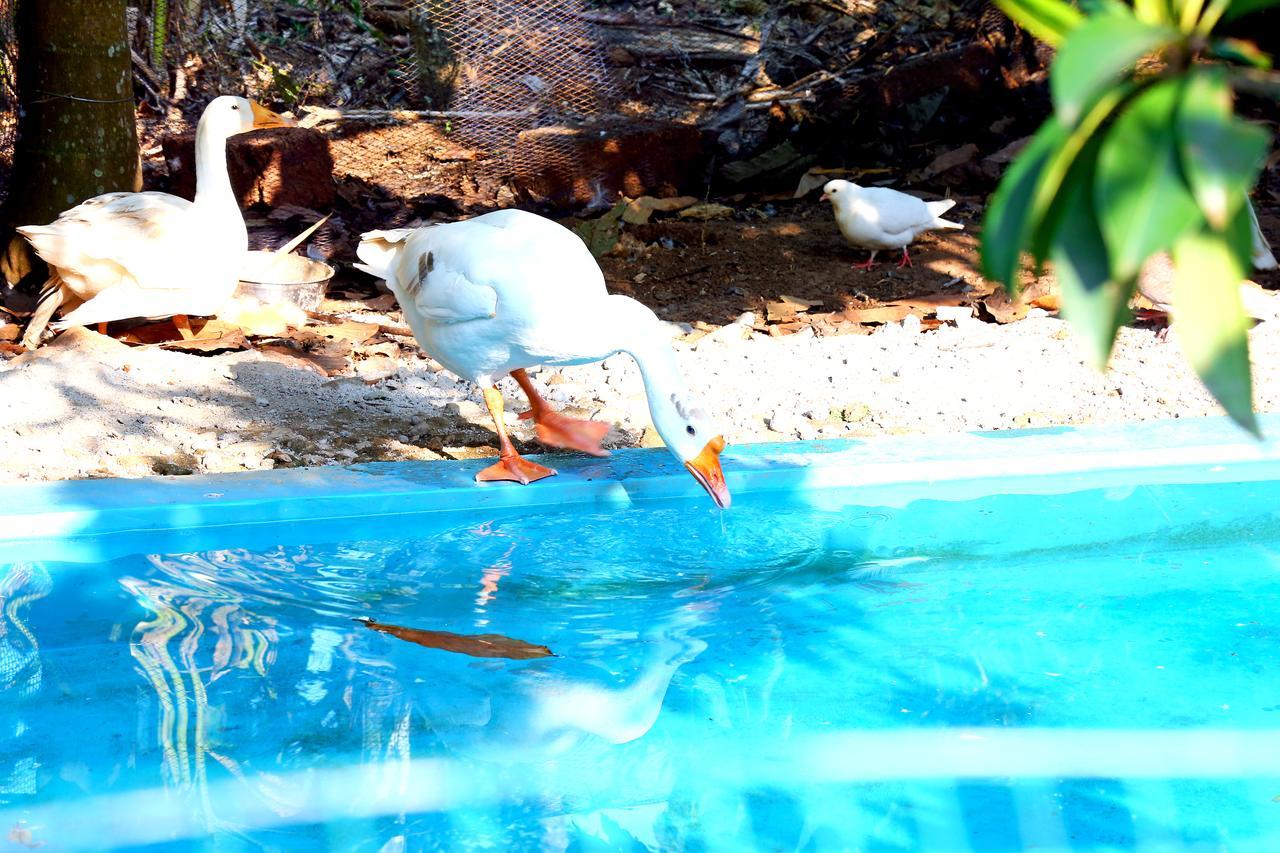 Wayanad Green Park Resort Ambalavayal Eksteriør bilde