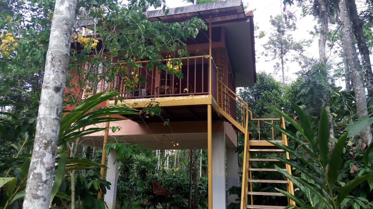 Wayanad Green Park Resort Ambalavayal Eksteriør bilde